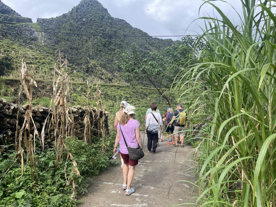 Sapa 1-Day Trek: Deep Immersion Hike through Y Linh Ho Mong, Lao Chai San & Ta Van